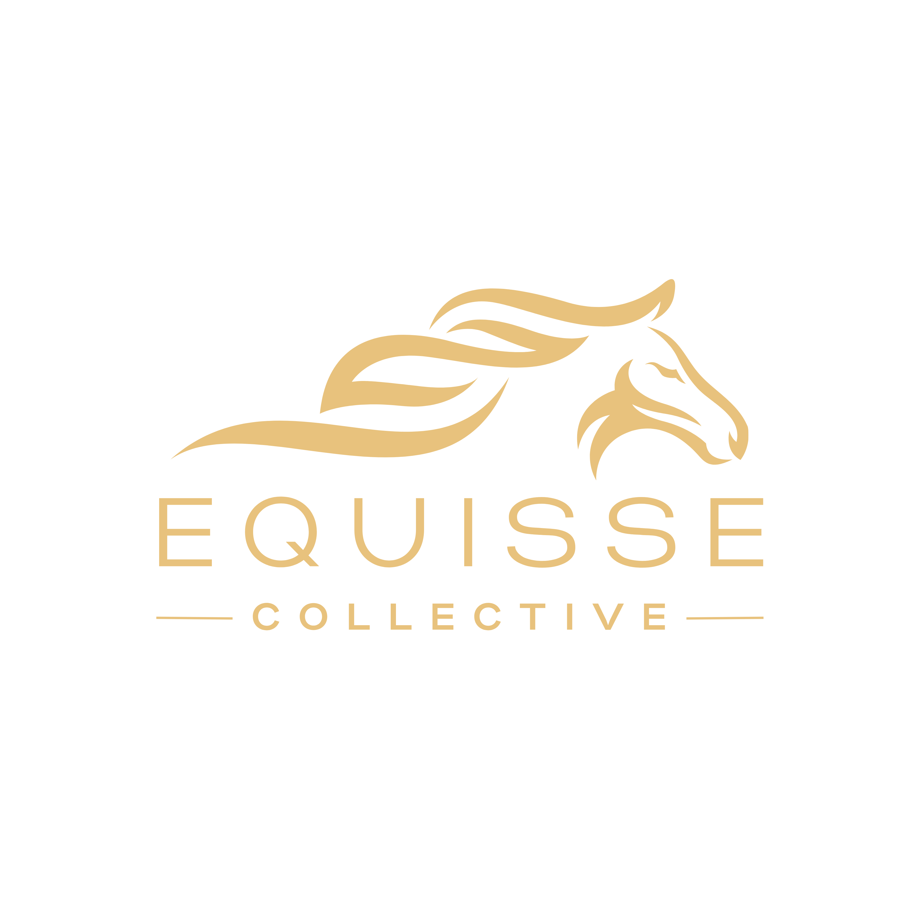 Equisse Collective